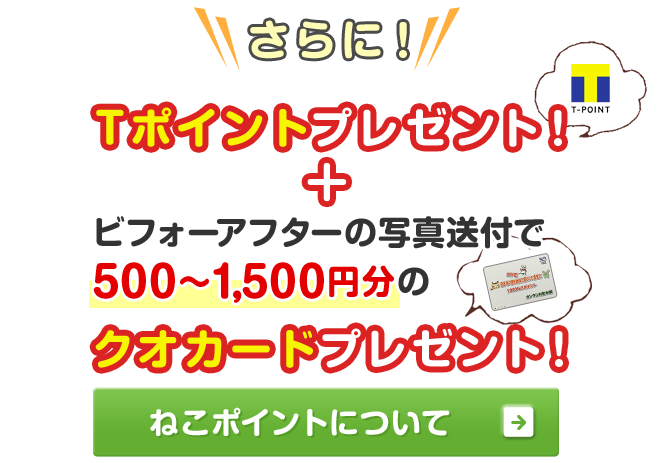 Tポイントプレゼント！クオカードプレゼント！ねこポイントについて詳しく見る