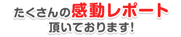 施工事例もNo.1