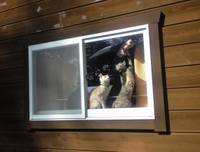【内窓DIY】山梨県北杜市「窓の猫ポケットが結露で濡れなくなりました」 T様邸内窓